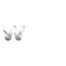 webmo